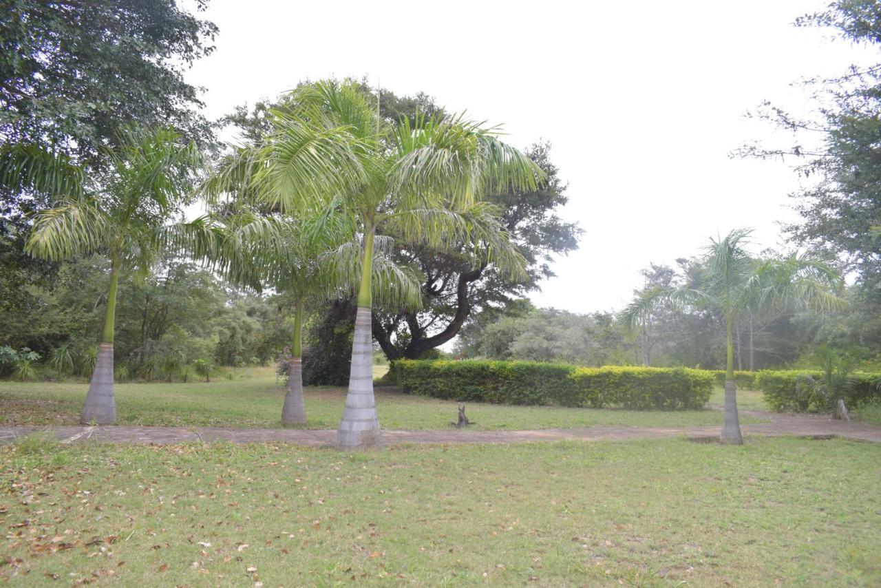 Copacopa Lodge And Conference Centre Punda Maria Exteriör bild