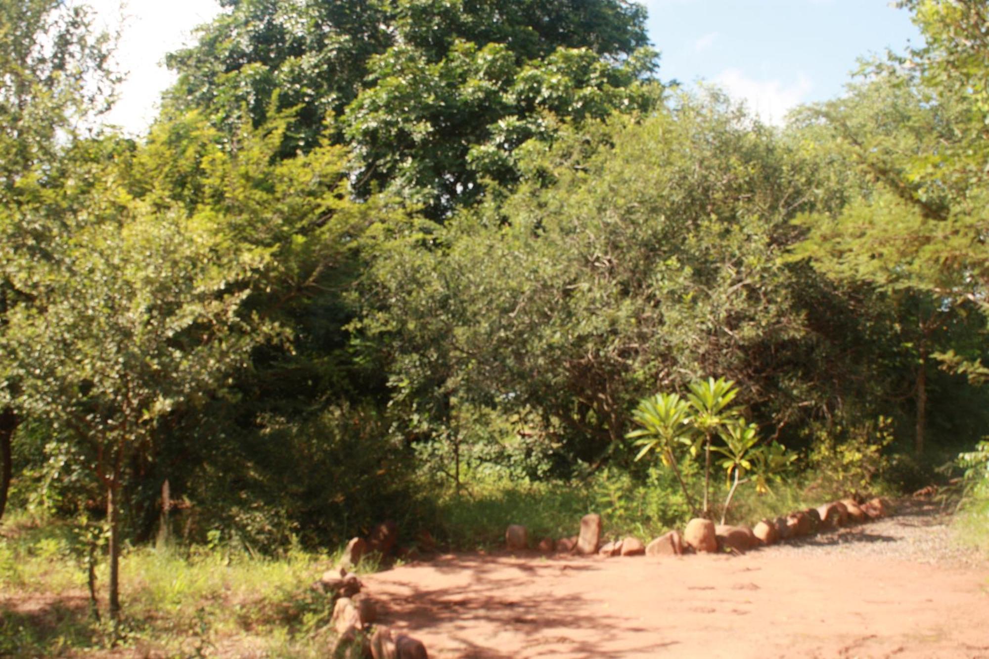Copacopa Lodge And Conference Centre Punda Maria Exteriör bild